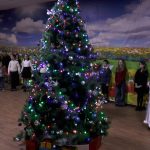 Новогоднее представление для одарённых детей Миллеровского района