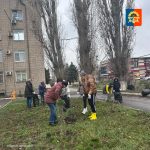 Сотрудники Администрации Миллеровского района и учреждения «Проектный офис» в пятницу вышли на субботник