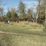 Все на субботник! На уборку городского парка вышли активные миллеровцы.