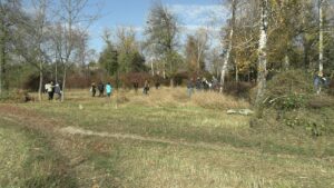 Все на субботник! На уборку городского парка вышли активные миллеровцы.